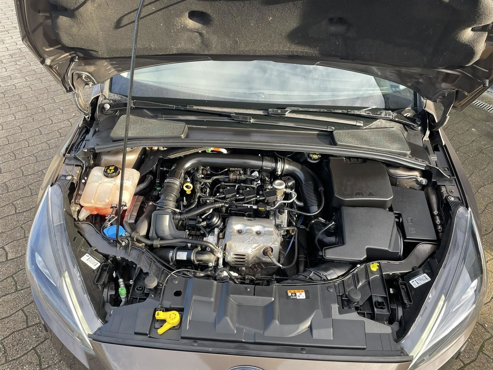 Brun Ford Focus fra 2018
