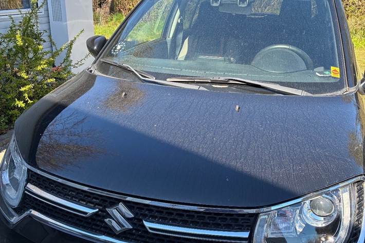 Sort Suzuki Ignis fra 2017
