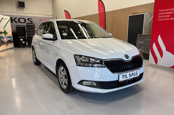 Hvid Skoda Fabia fra 2019