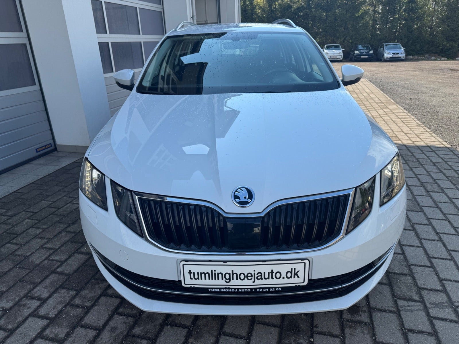 Hvid Skoda Octavia fra 2019