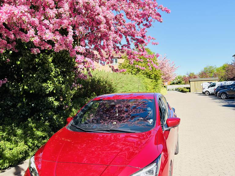 Nissan Leaf 150 hk Aut