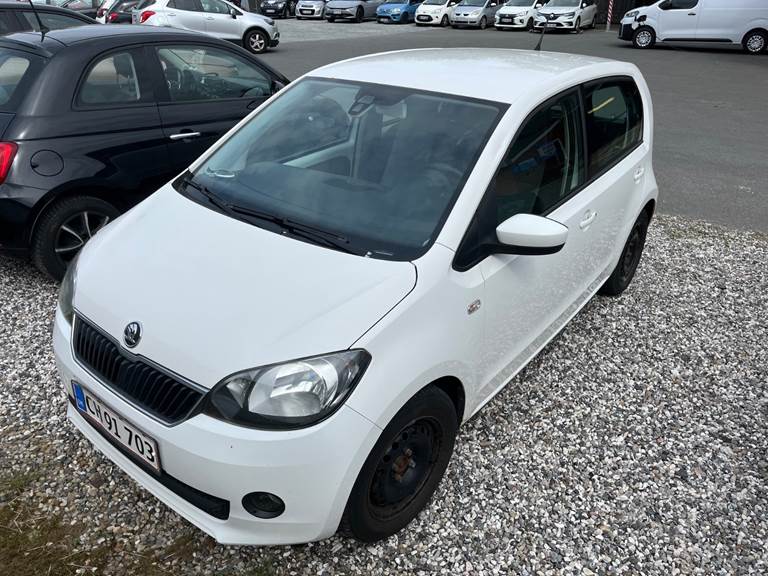 100Autotjek biler
