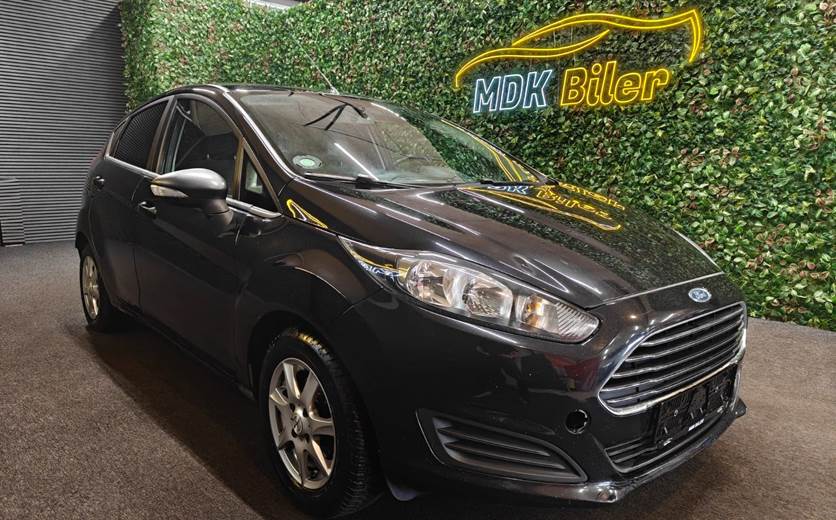 Ford Fiesta 1,6 TDCi 95 Trend ECO Van