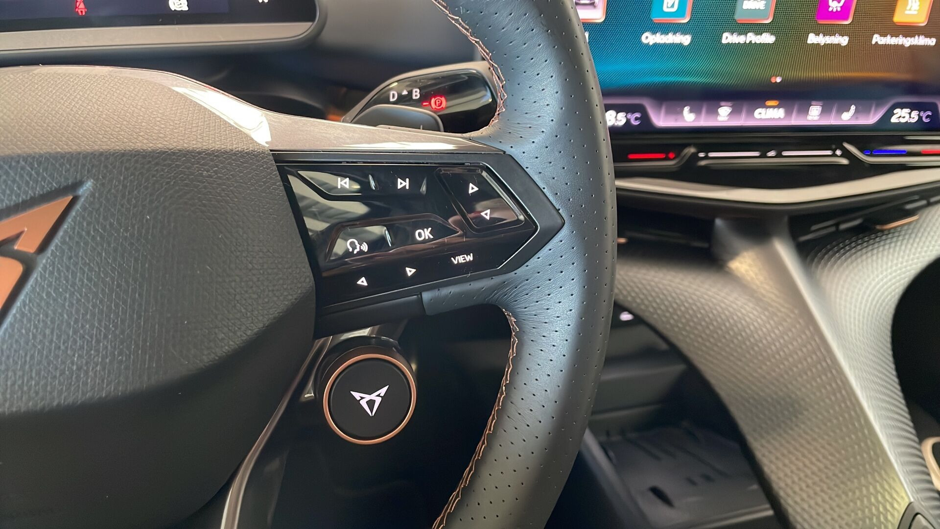 Sort Cupra Tavascan fra 2025