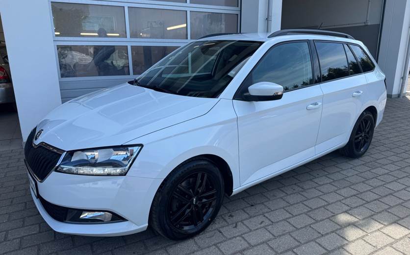 Skoda Fabia 1,0 TSi 95 Dynamic Combi DSG