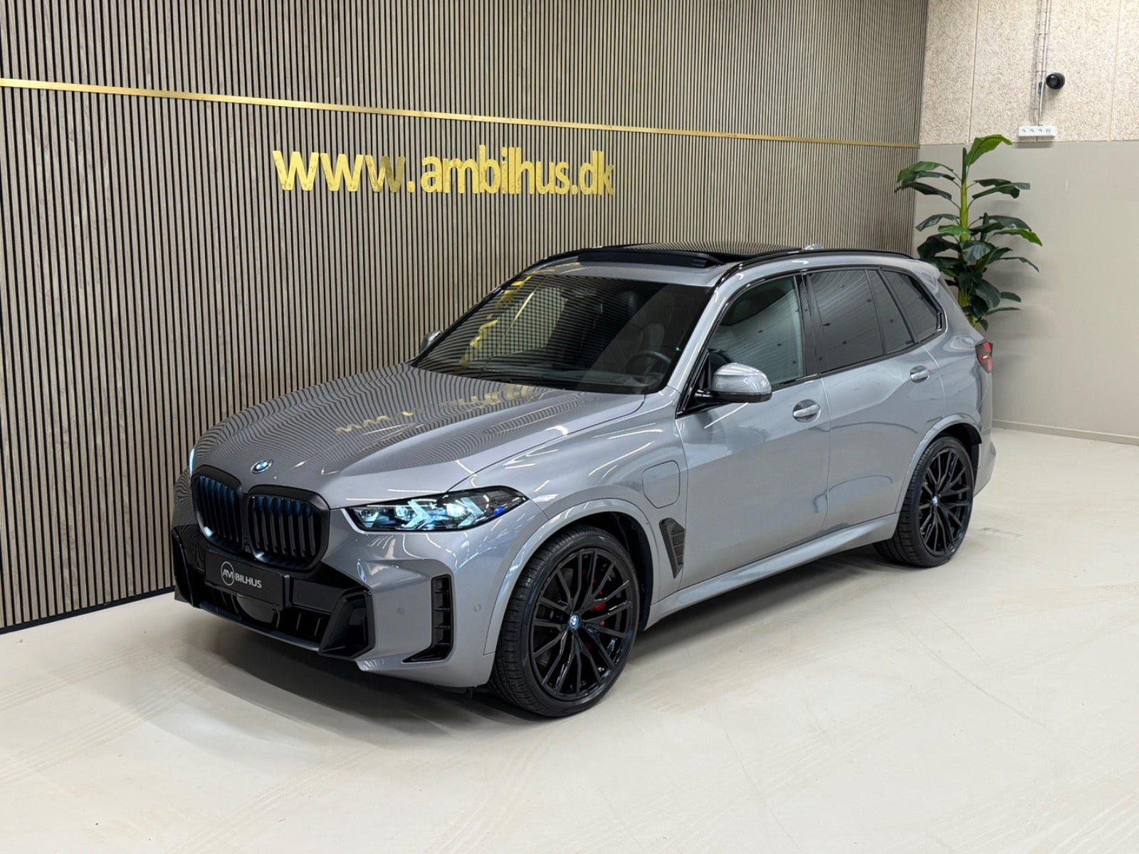 Grå BMW X5 fra 2025