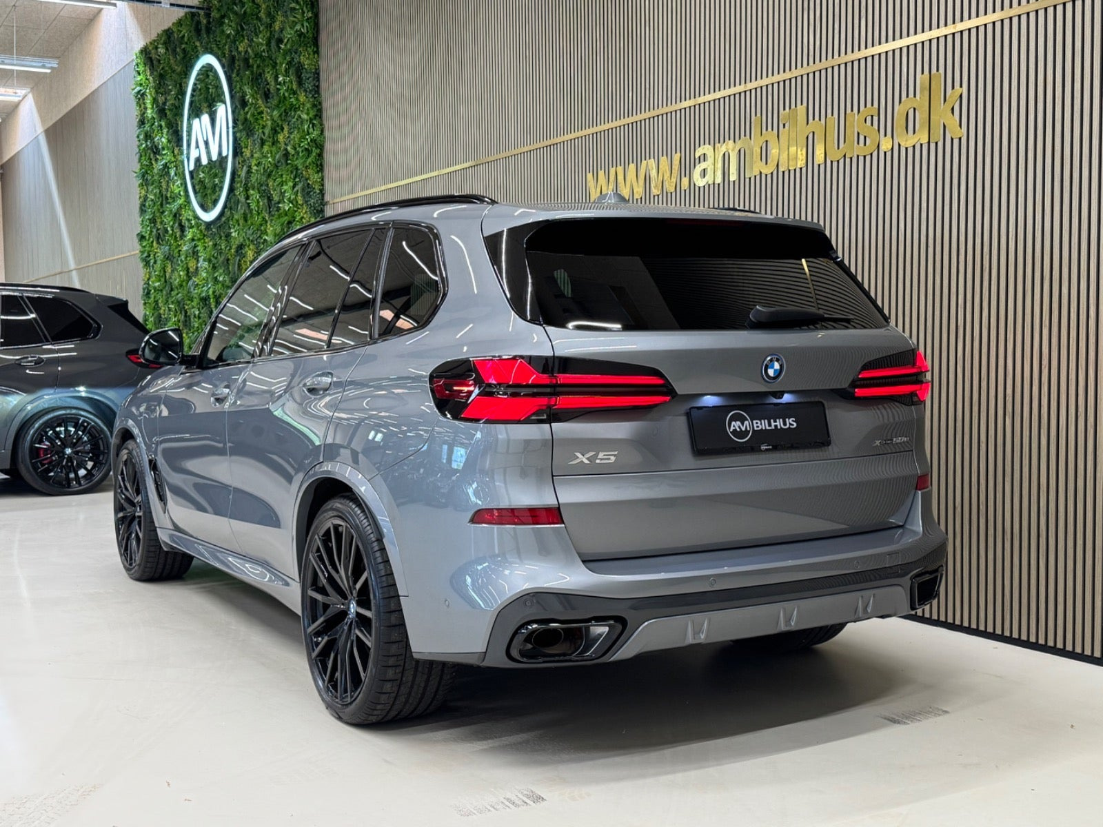 Grå BMW X5 fra 2025