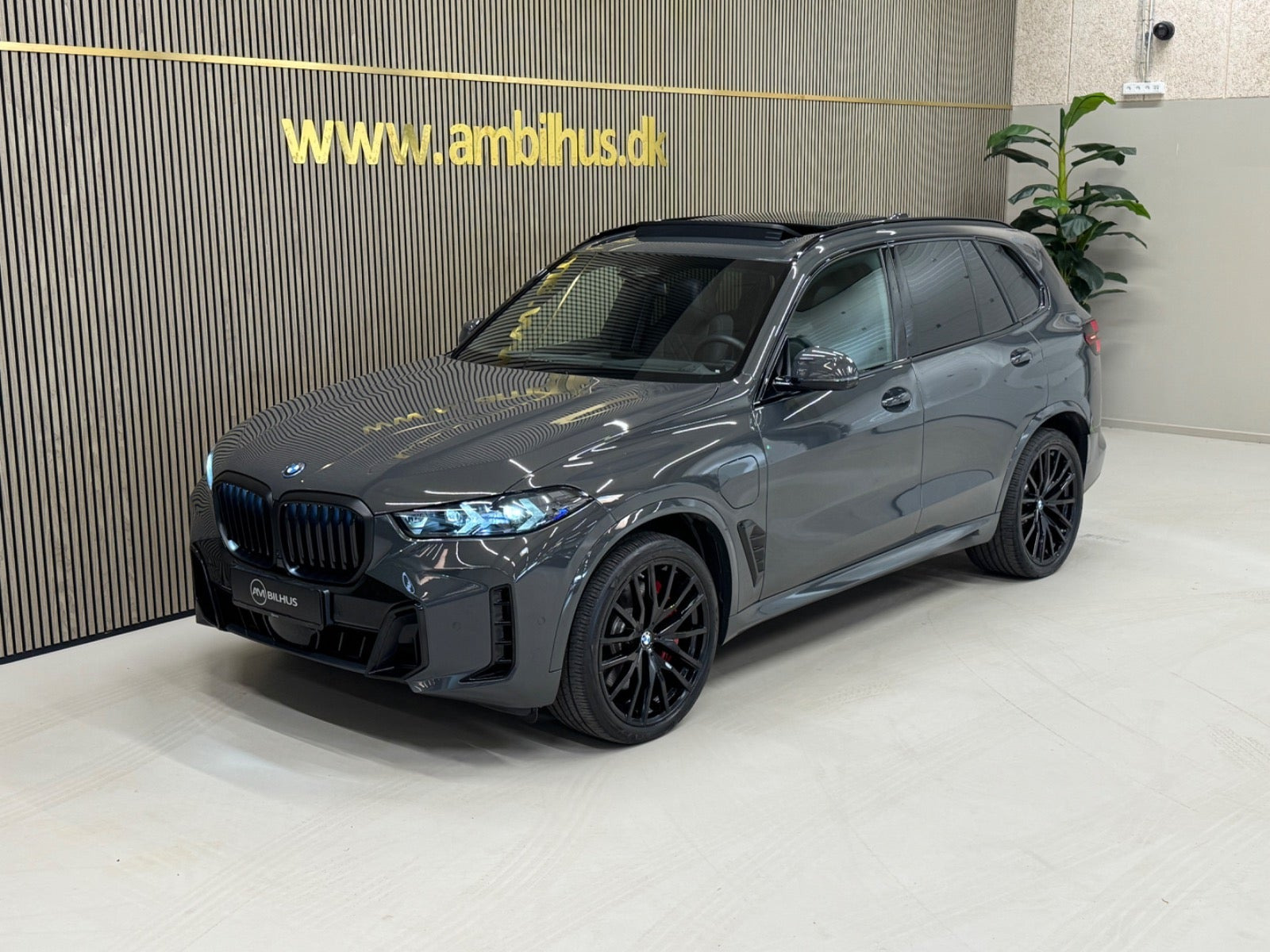Grå BMW X5 fra 2025