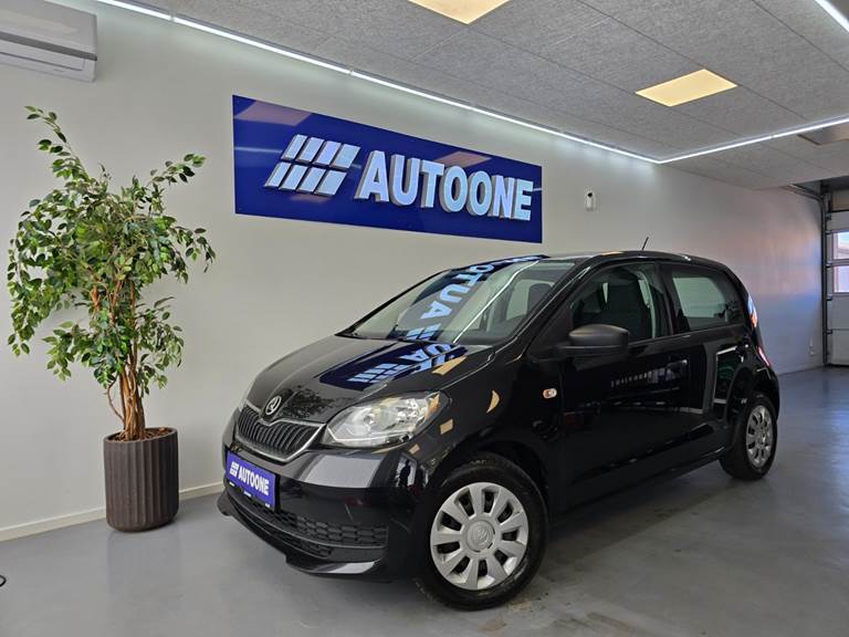 100Autotjek biler
