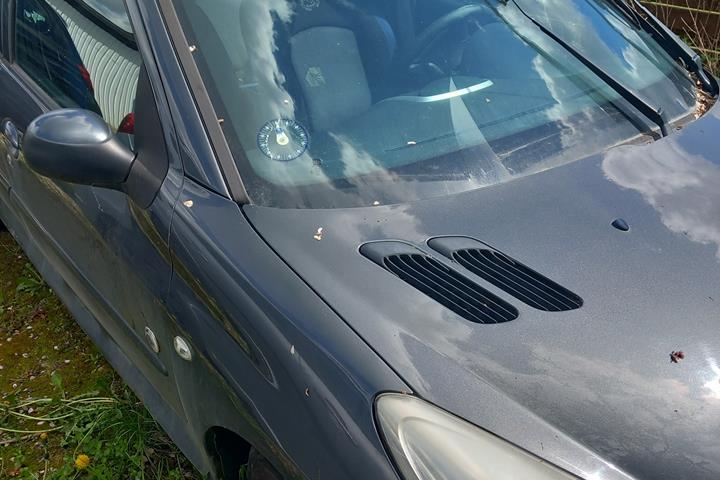 undefined Peugeot 206 fra 2012