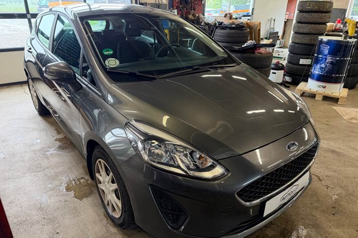 Grå Ford Fiesta fra 2019