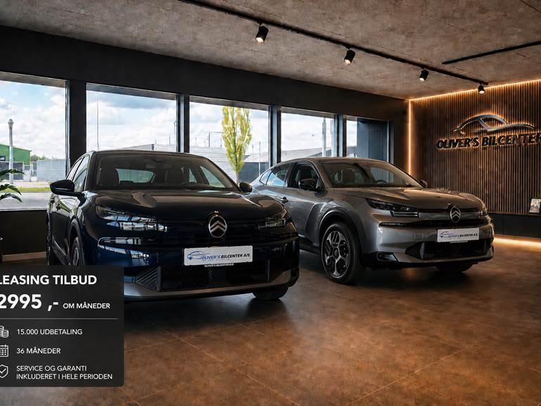 100Autotjek biler