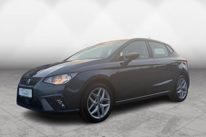 Grå Seat Ibiza fra 2021