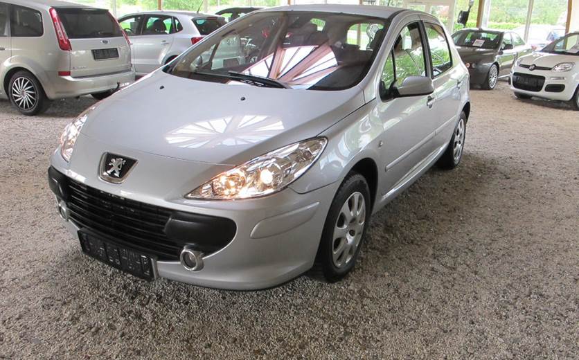 Peugeot 307 1,6 Performance