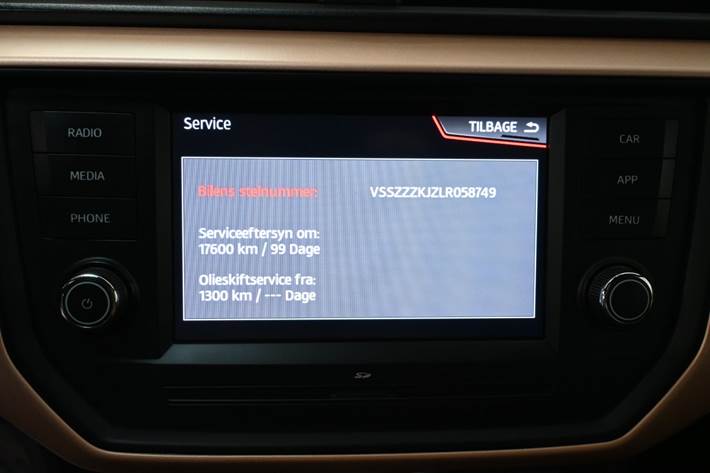 Grå Seat Ibiza fra 2020