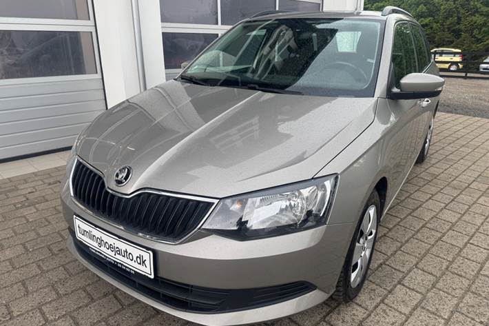Grå Skoda Fabia fra 2017