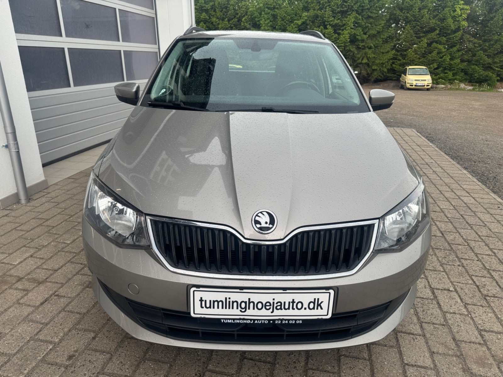 Grå Skoda Fabia fra 2017