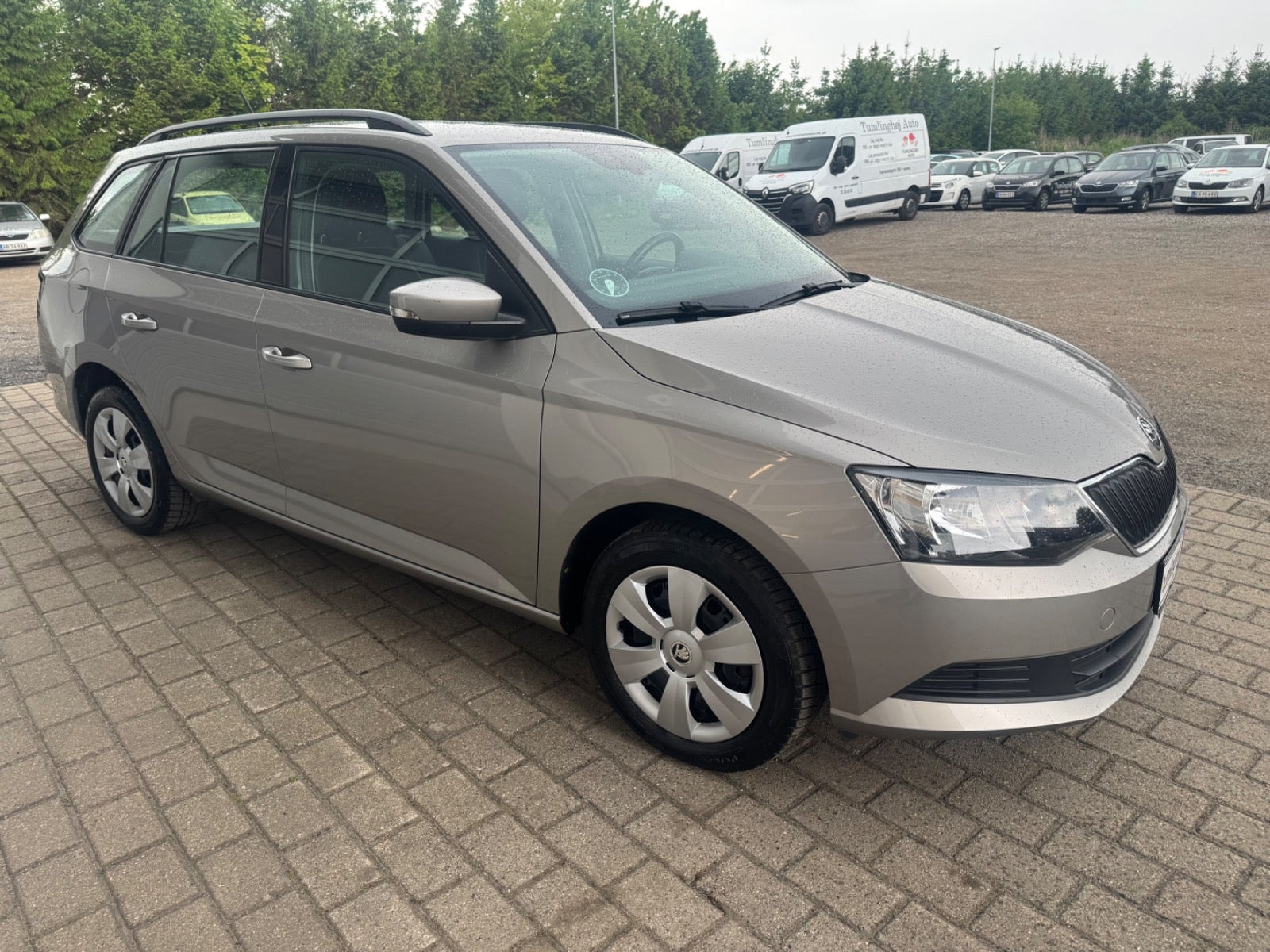Grå Skoda Fabia fra 2017