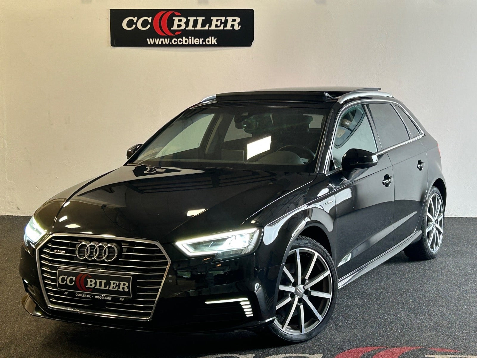100Autotjek biler