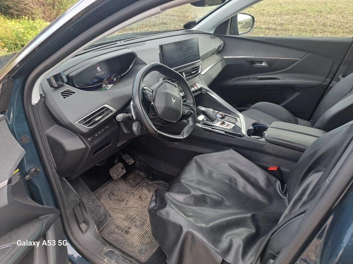 Blå Peugeot 3008 fra 2020
