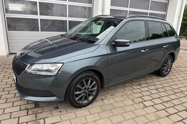 Grå Skoda Fabia fra 2019