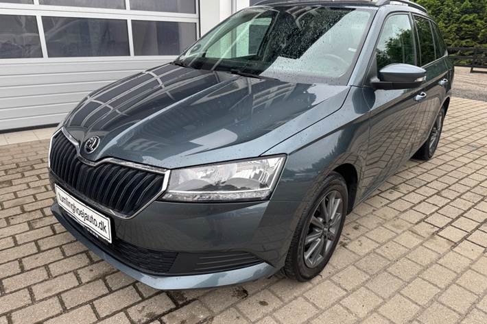 Grå Skoda Fabia fra 2019