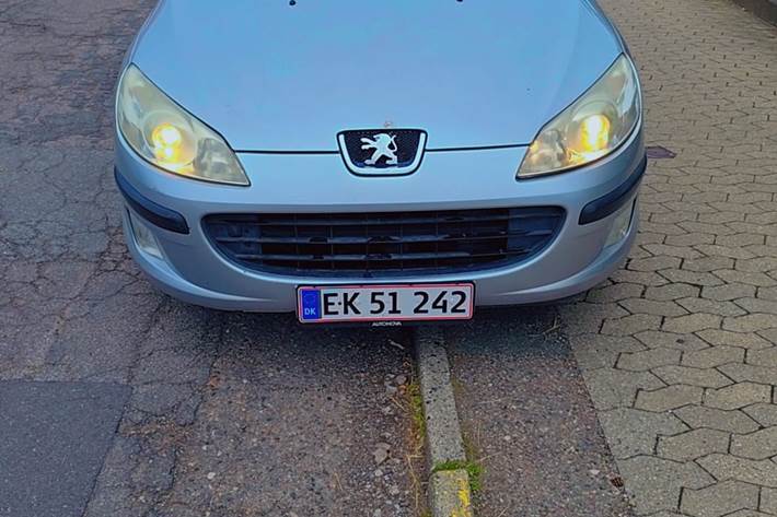 Sølv Peugeot 407 fra 2005