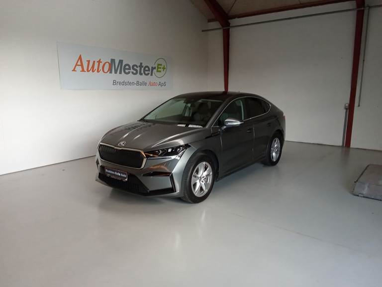 100Autotjek biler