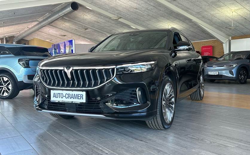 Voyah Free EL First Edition Platinium AWD 489HK 5d Aut.