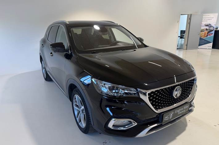 Sort MG EHS fra 2021