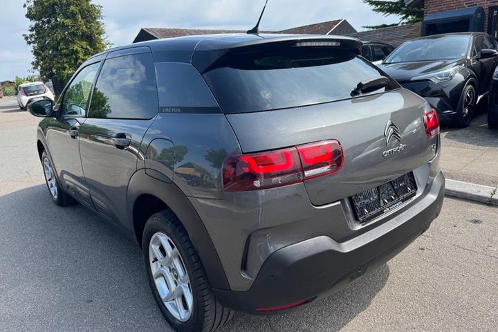 undefined Citroën C4 Cactus fra 2019