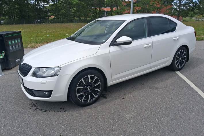 Hvid Skoda Octavia fra 2014