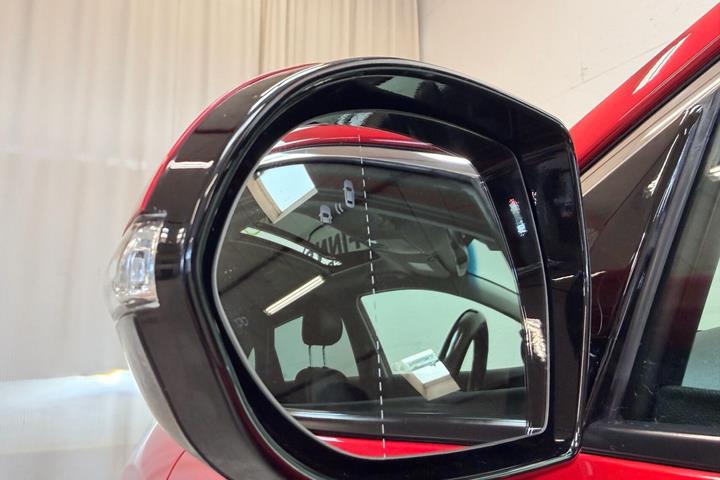 Rød Kia Niro fra 2019