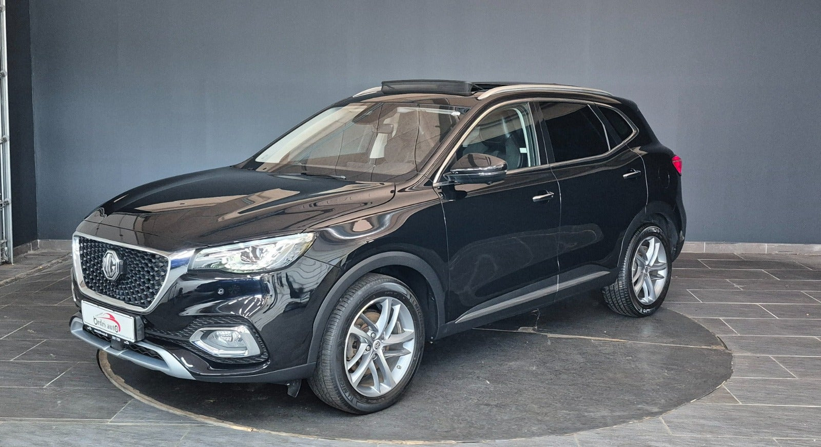 Sort MG EHS fra 2022