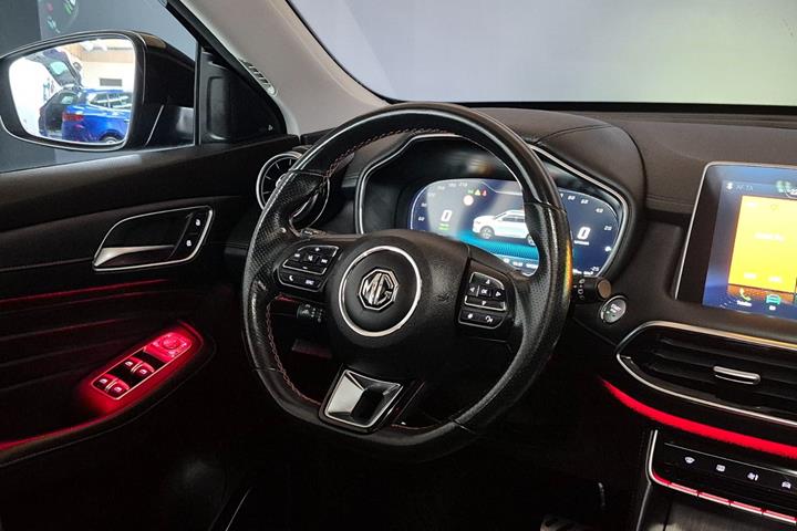 Sort MG EHS fra 2022