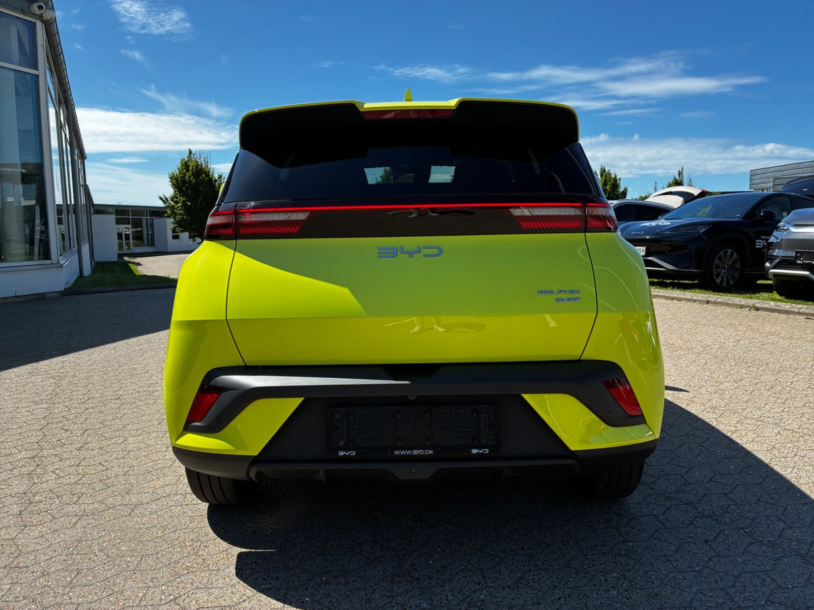 Grøn BYD Dolphin Surf fra 2025