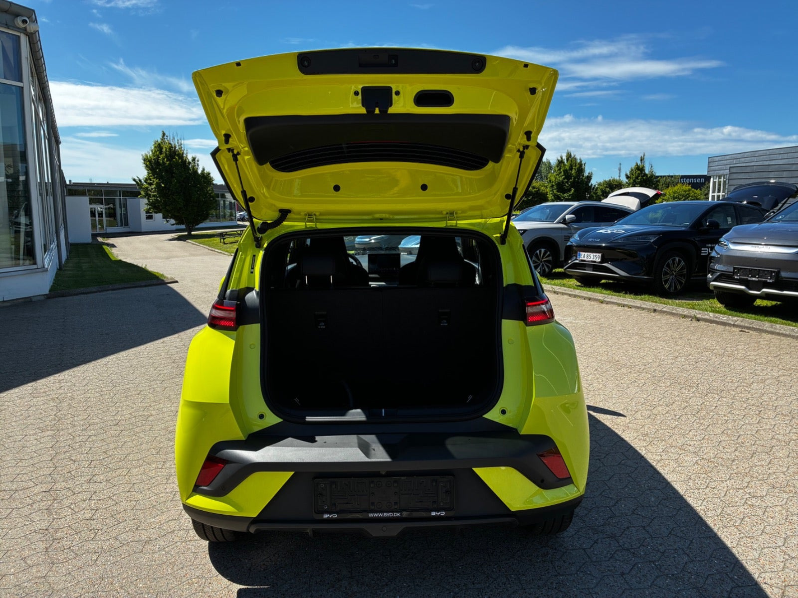Grøn BYD Dolphin Surf fra 2025