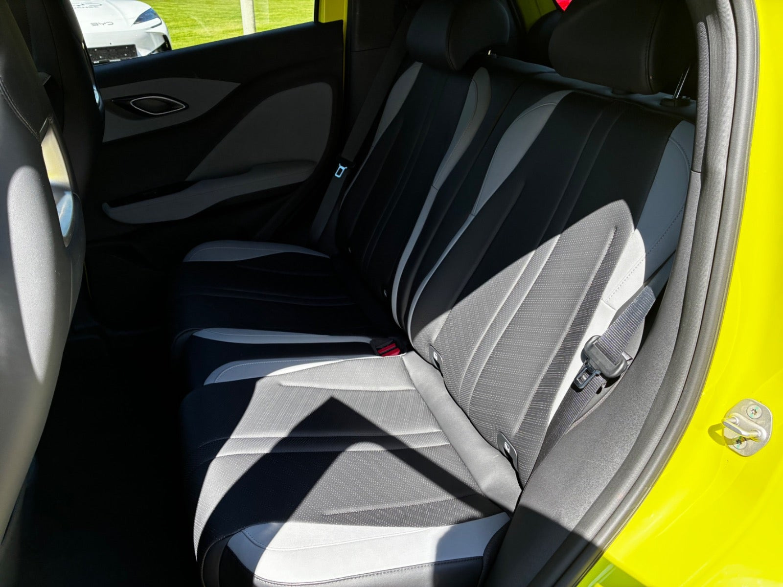 Grøn BYD Dolphin Surf fra 2025