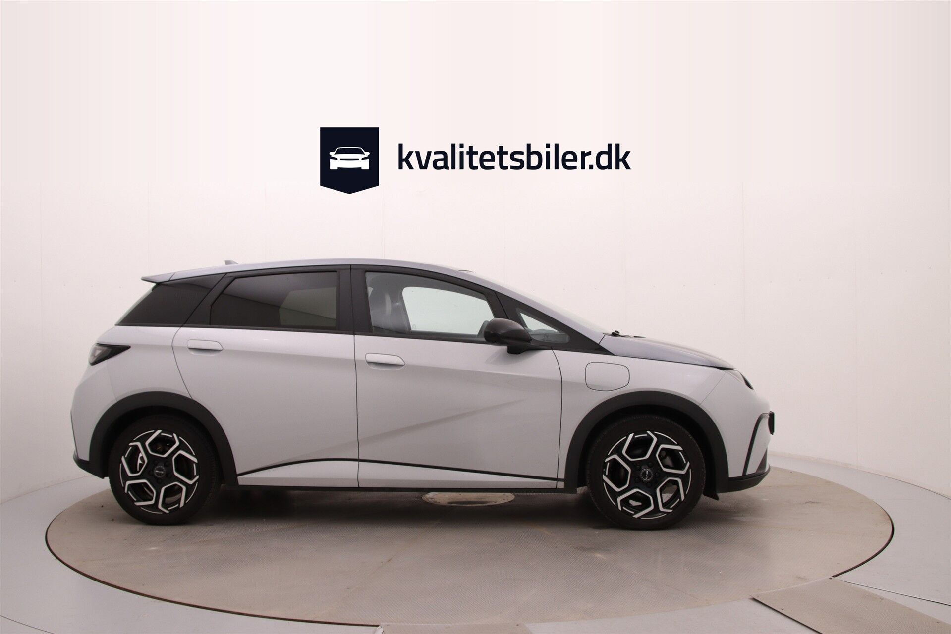 Grå BYD Dolphin fra 2024