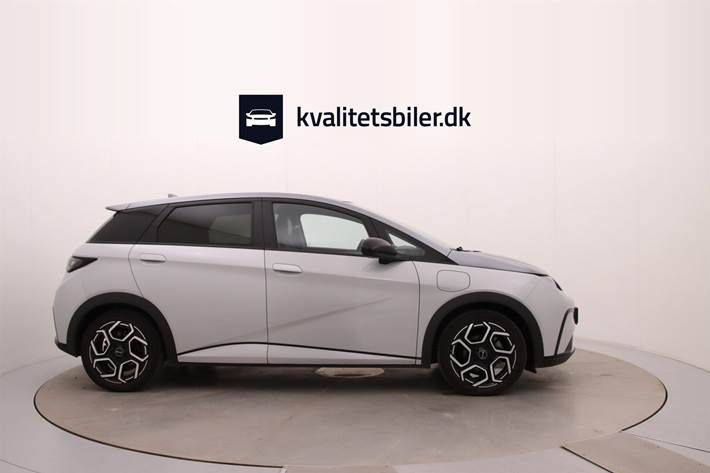 Grå BYD Dolphin fra 2024