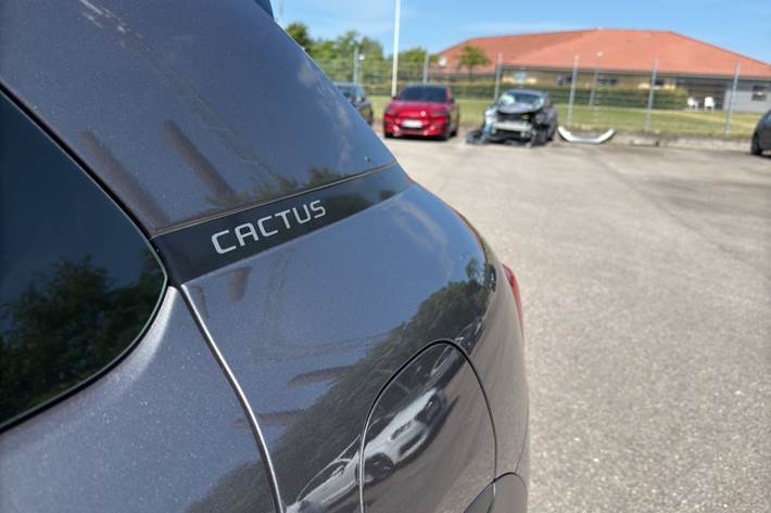 Sort Citroën C4 Cactus fra 2021