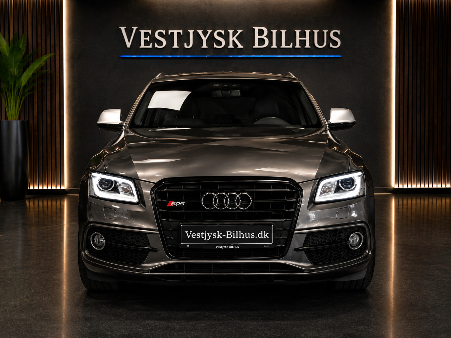 undefined Audi SQ5 fra 2015