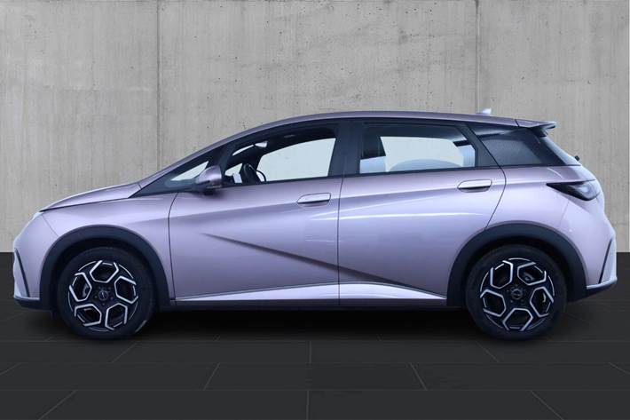 Rød BYD Dolphin fra 2024