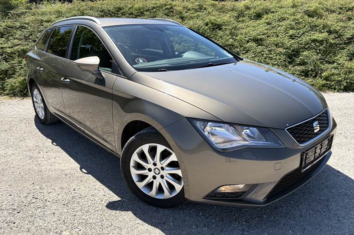 Brun Seat Leon fra 2016