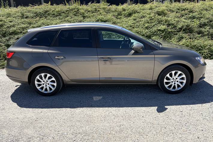 Brun Seat Leon fra 2016