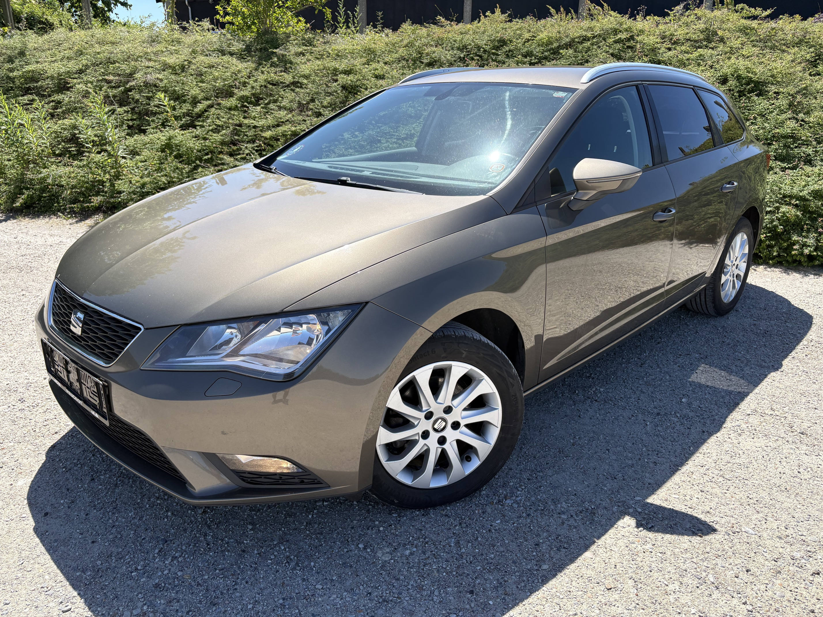 Brun Seat Leon fra 2016
