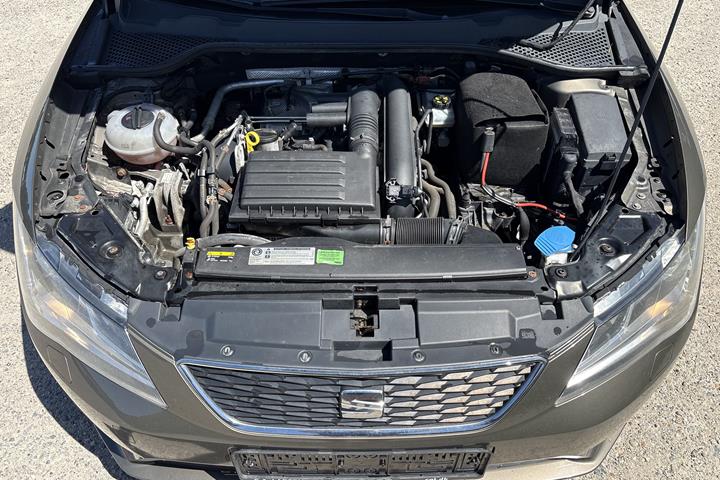 Brun Seat Leon fra 2016
