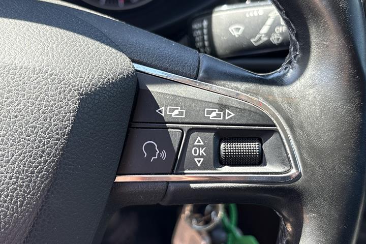 Brun Seat Leon fra 2016