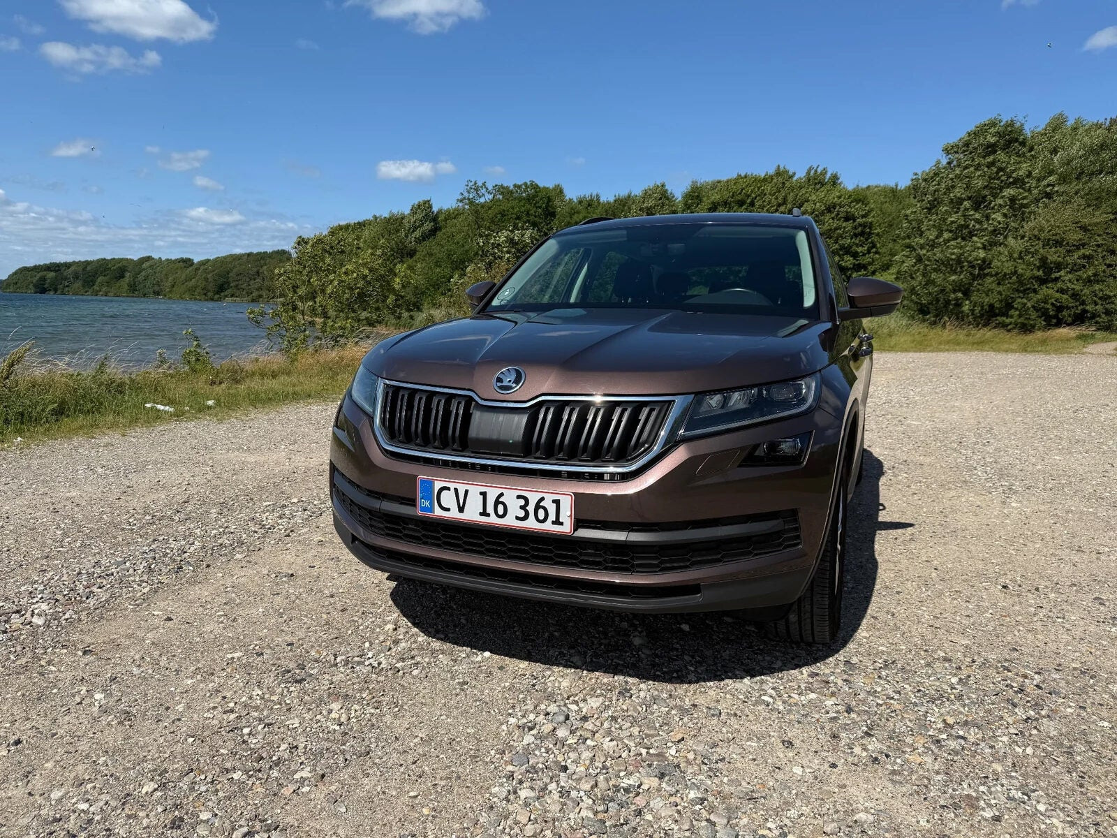 Brun Skoda Kodiaq fra 2020