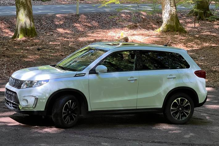 Hvid Suzuki Vitara fra 2020